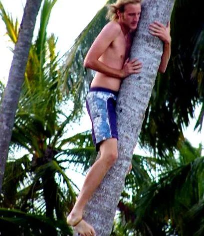 trunchi palm