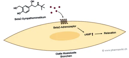 clenbuterol