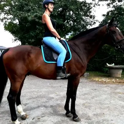 termékteszt