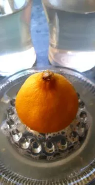 diet