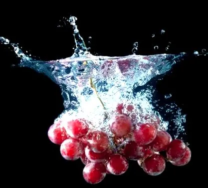 forrása resveratrol
