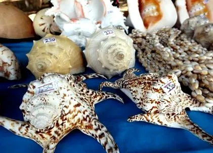 utazás