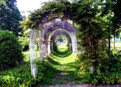 arată