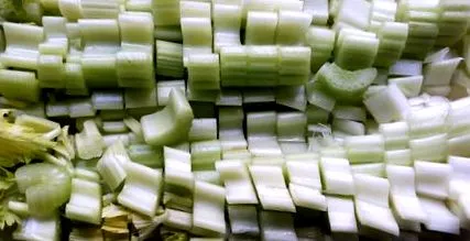diet