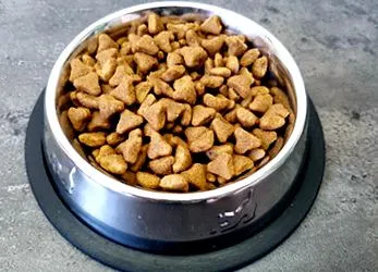 macskaeledel