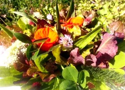 salată