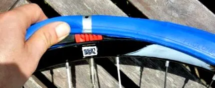 schwalbe