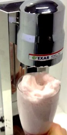 sursă