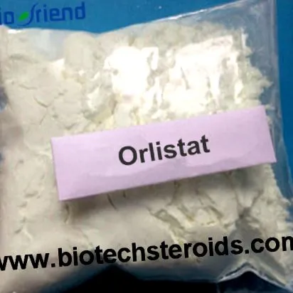orlistat orlistat