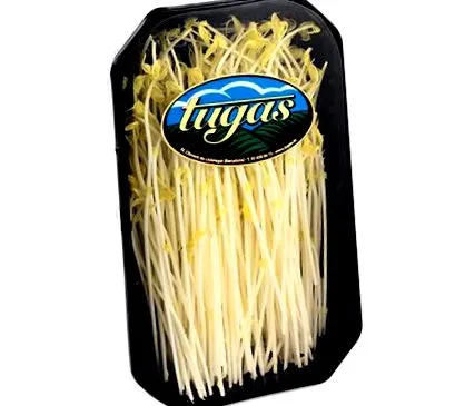 tugas