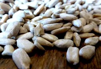 pgmzia