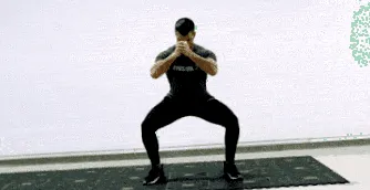exerciții