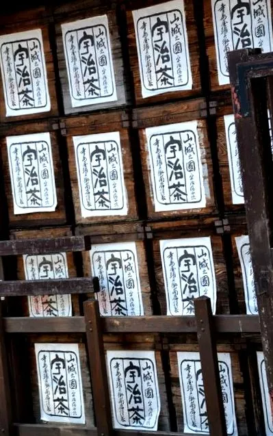 blog