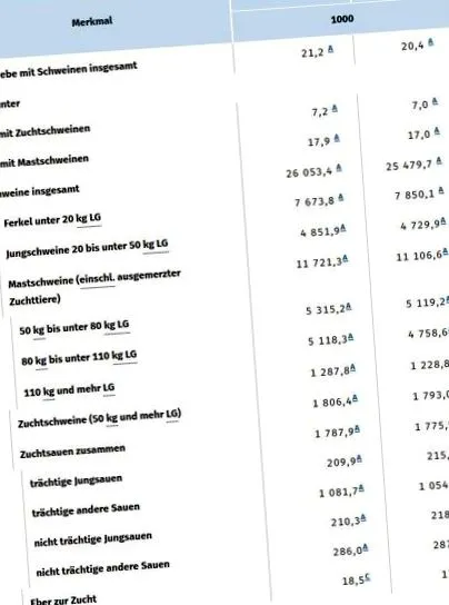 szövetségi szövetségi