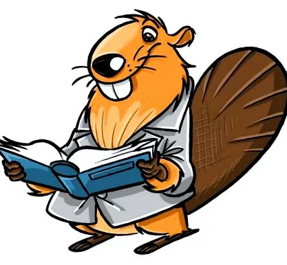 системски
