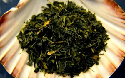 kapcsolatos