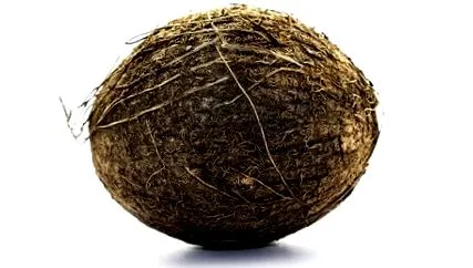 cocos