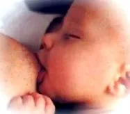 lactation