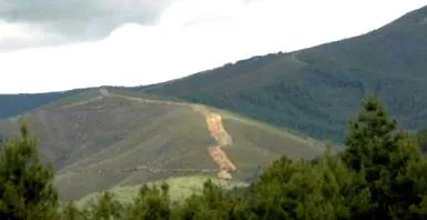hírek