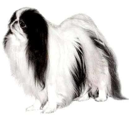 álla