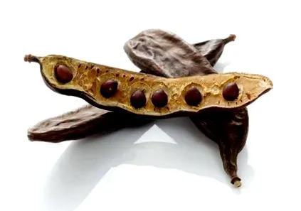 замінники рожковий