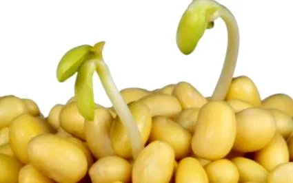лечение