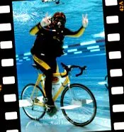 thediveo