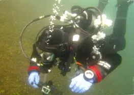 thediveo