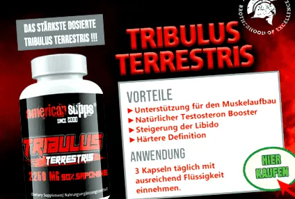 enanthate bevitele