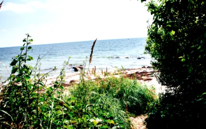 örömmel