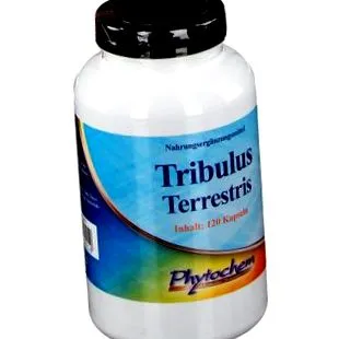 terrestris