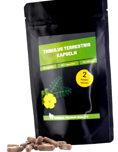 tribulus