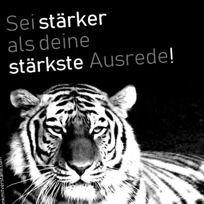 motivációs legfontosabb