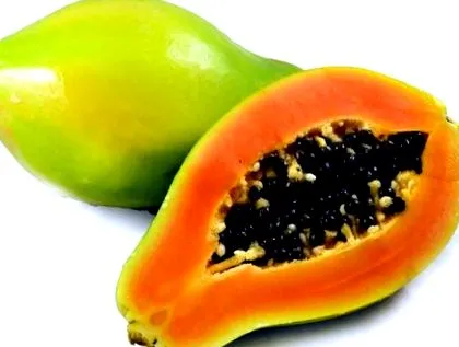 plan papaya