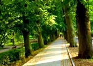 villa polanica-zdroj-ban