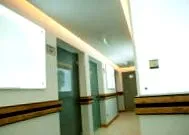 alina medical