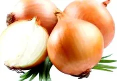 hasznos