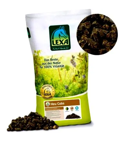vitalmix vitalmix