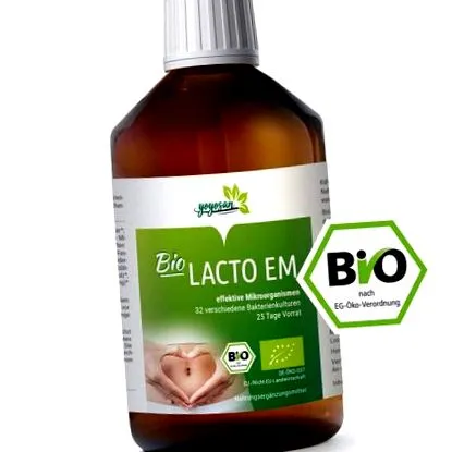 fermentare ghid
