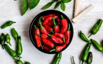 profil