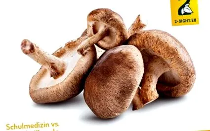 shiitake вћўпёџ