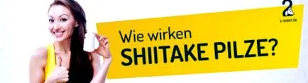 shiitake útmutató