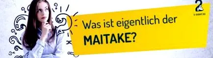 maitake