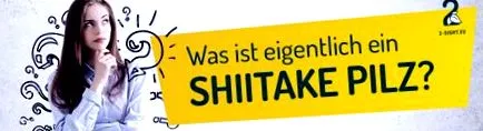 útmutató shiitake