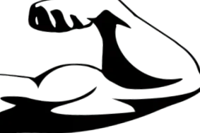 proteine
