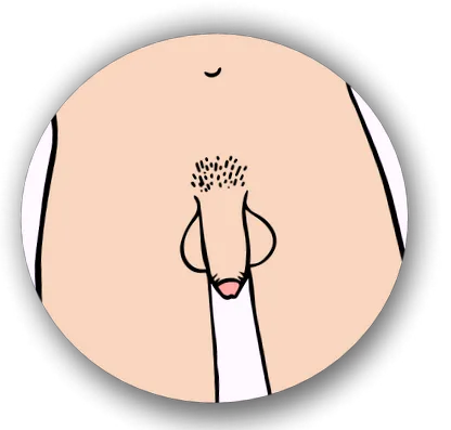 gummilove