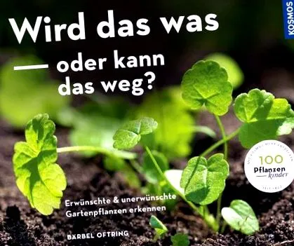 minden minden