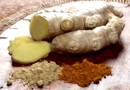 frissítő