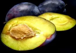 dietă