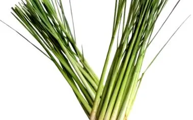 citromfű
